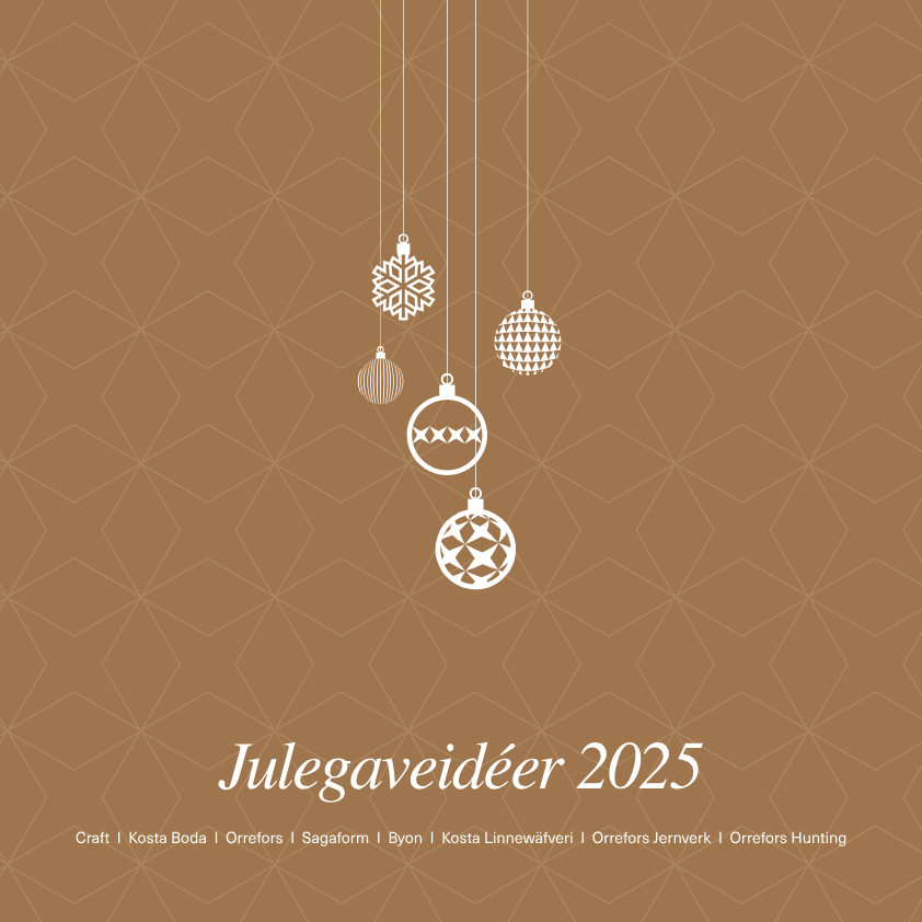 Skærmbillede 2025-08-24 091821